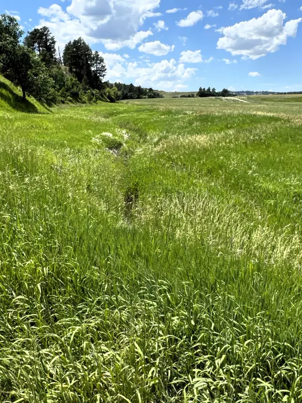 Hulett, WY 82720,Mustang Valley Road