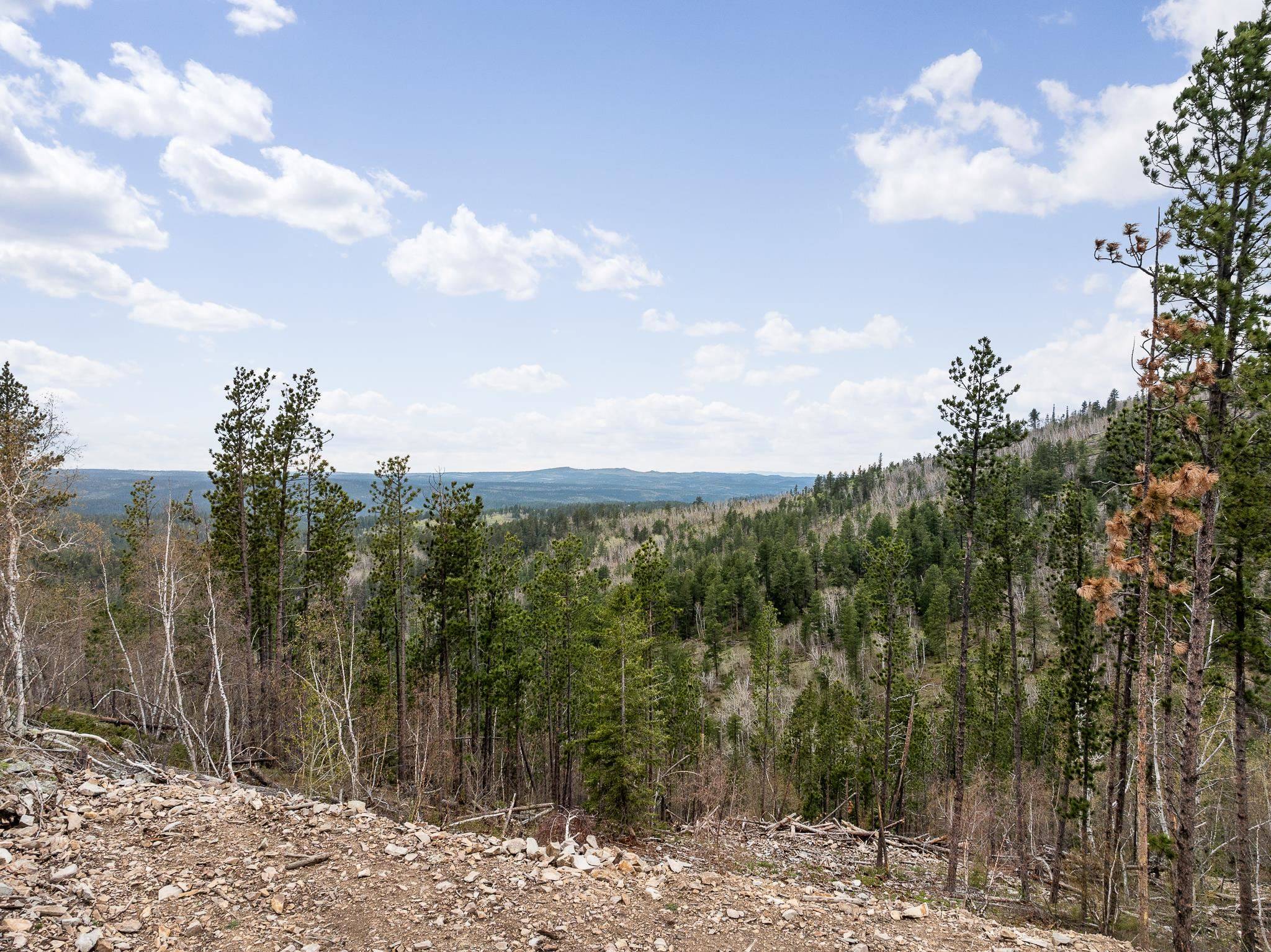 Lead, SD 57754,Aventure Loop