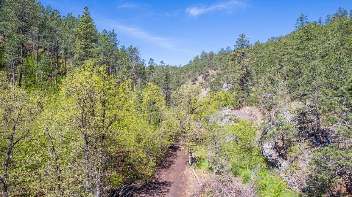 Hermosa, SD 55744,VIP Road