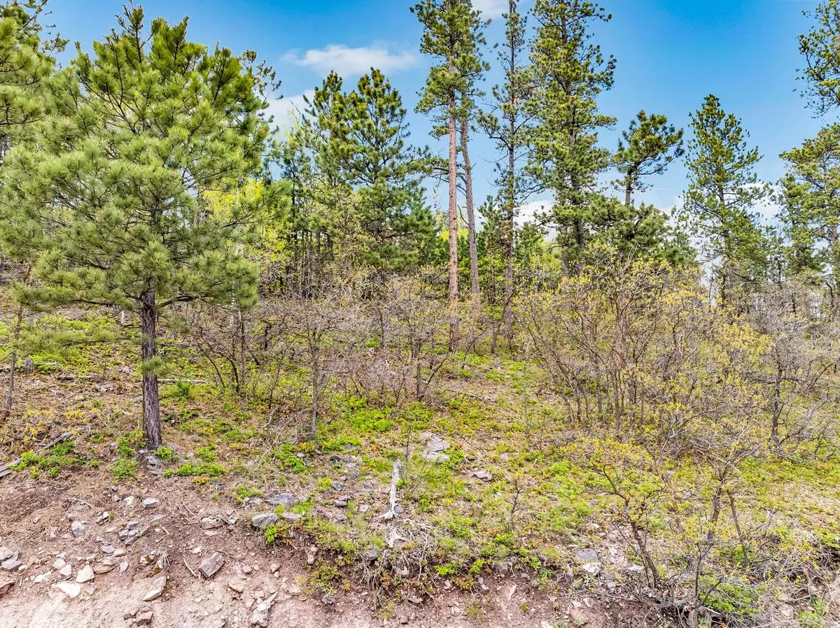 Lead, SD 57754-3730,Heritage Ave