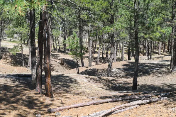 Belle Fourche, SD 57717