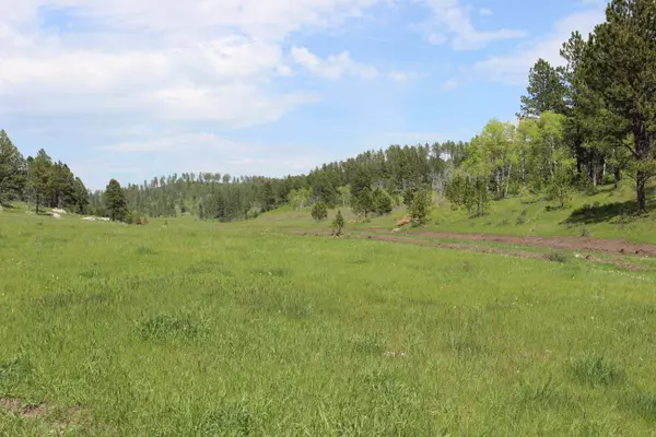 Custer, SD 57730,Custer Limestone Road