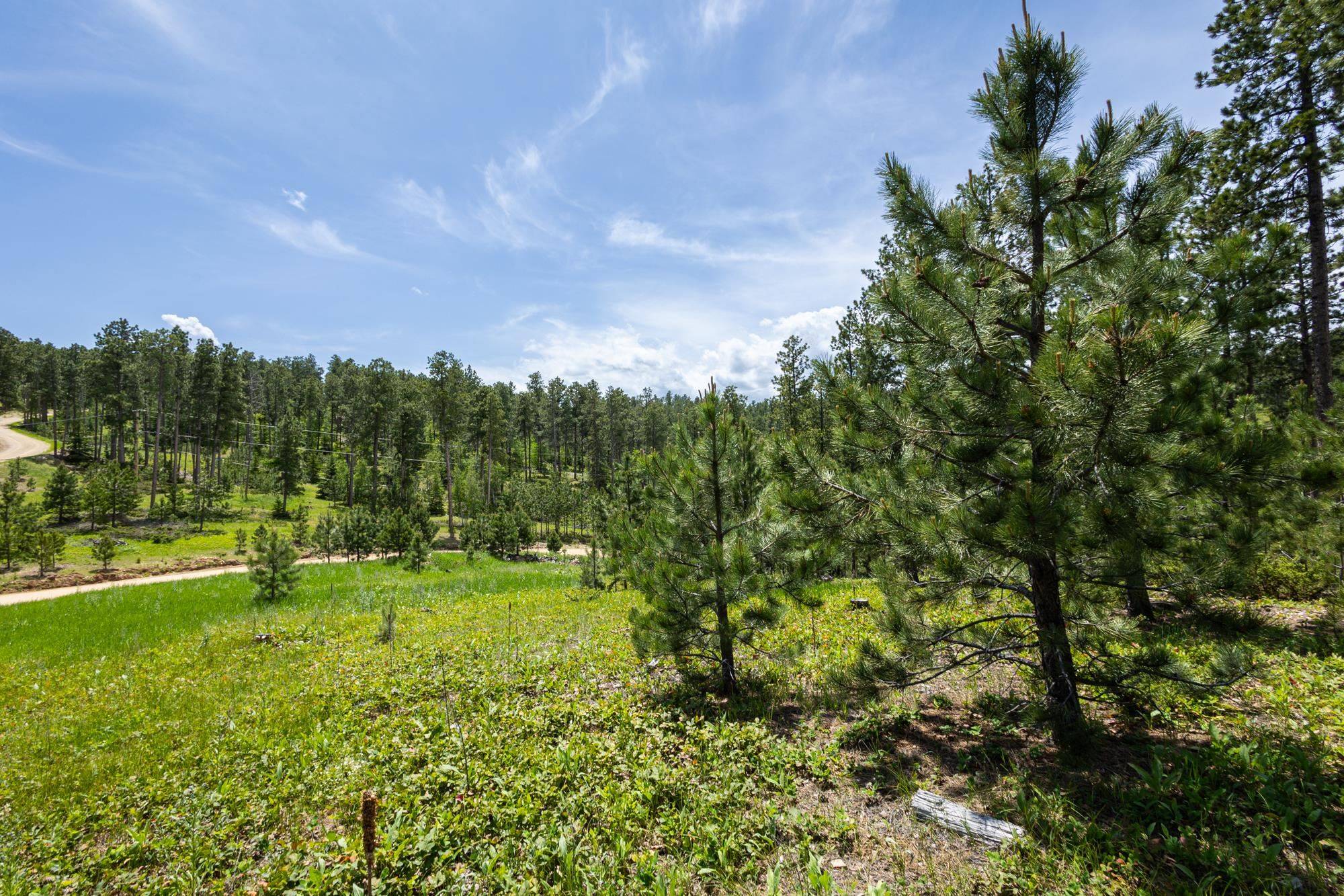 Magpie Road, Lead, SD 57754