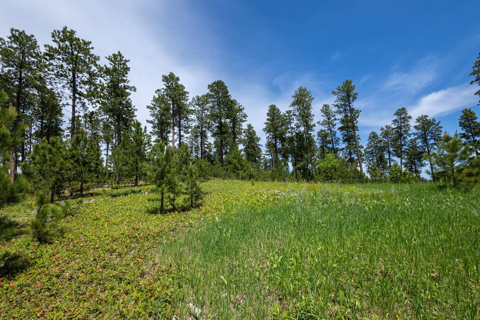 Lead, SD 57754,Magpie Road