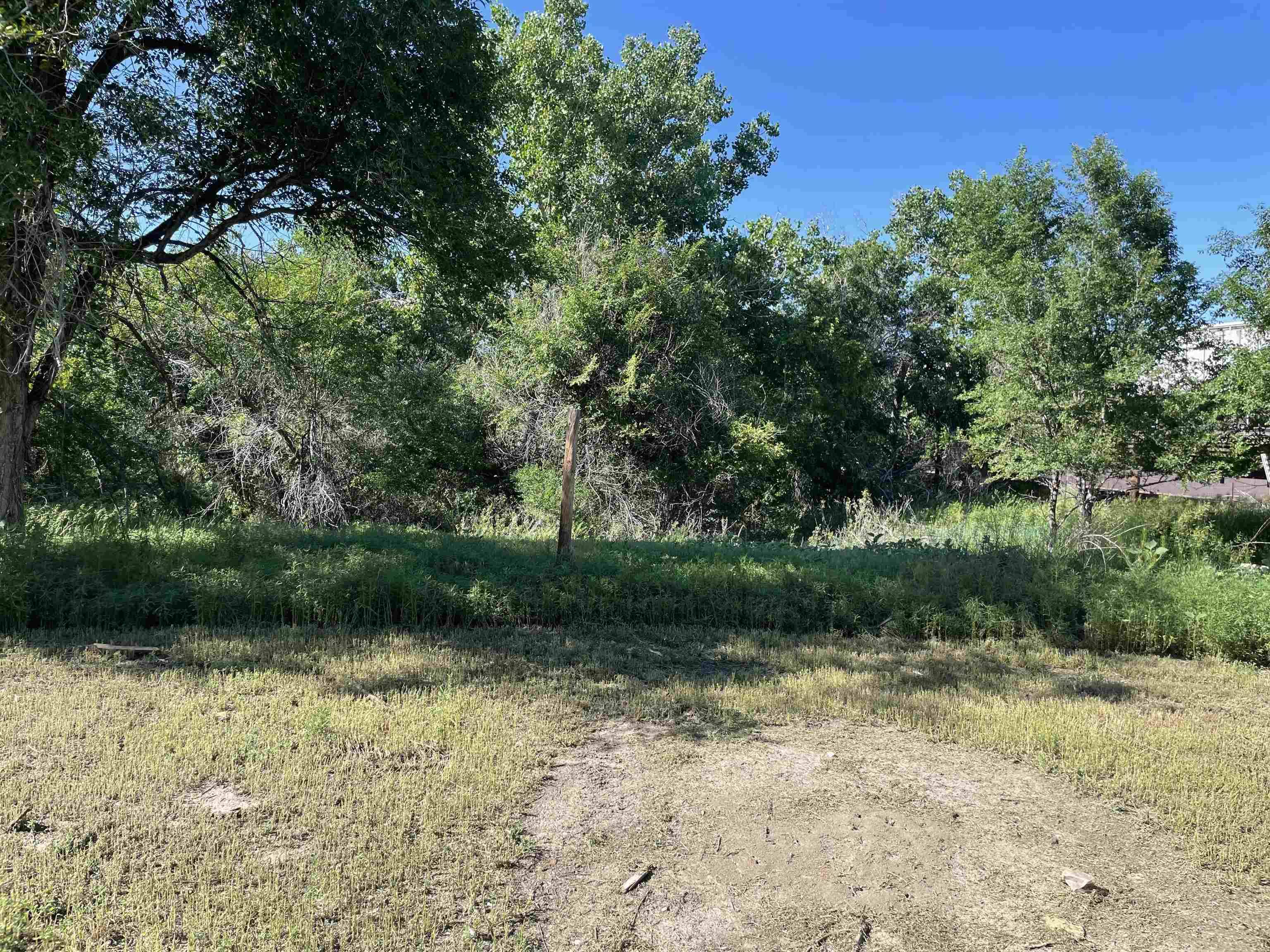 Edgemont, SD 57735,1st Avenue