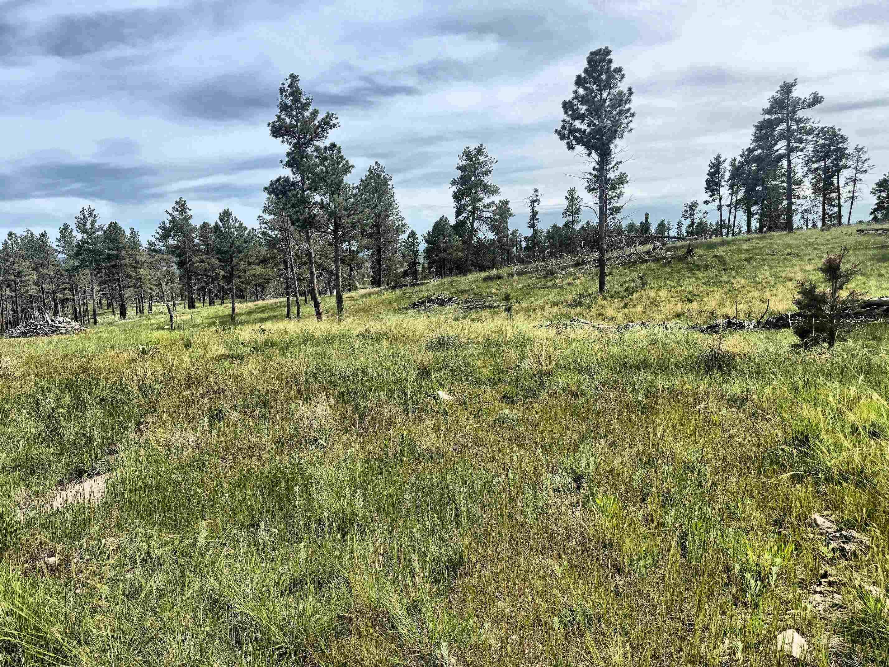 Hot Springs, SD 57747,Jenny Road