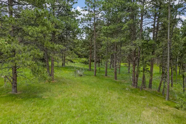 Rapid City, SD 57702,Sun Ridge Road