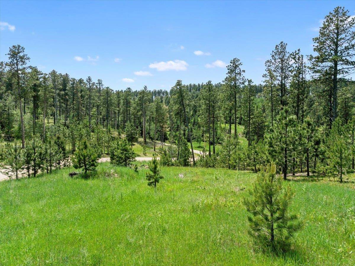 Magpie Road, Lead, SD 57754