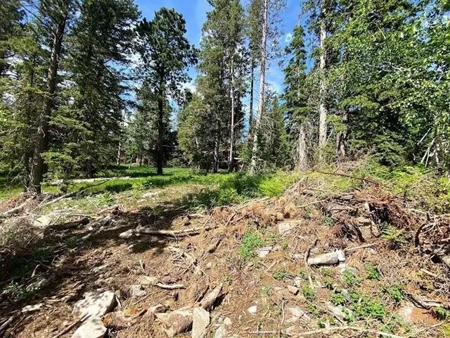 Blue Sky Loop, Lead, SD 57754