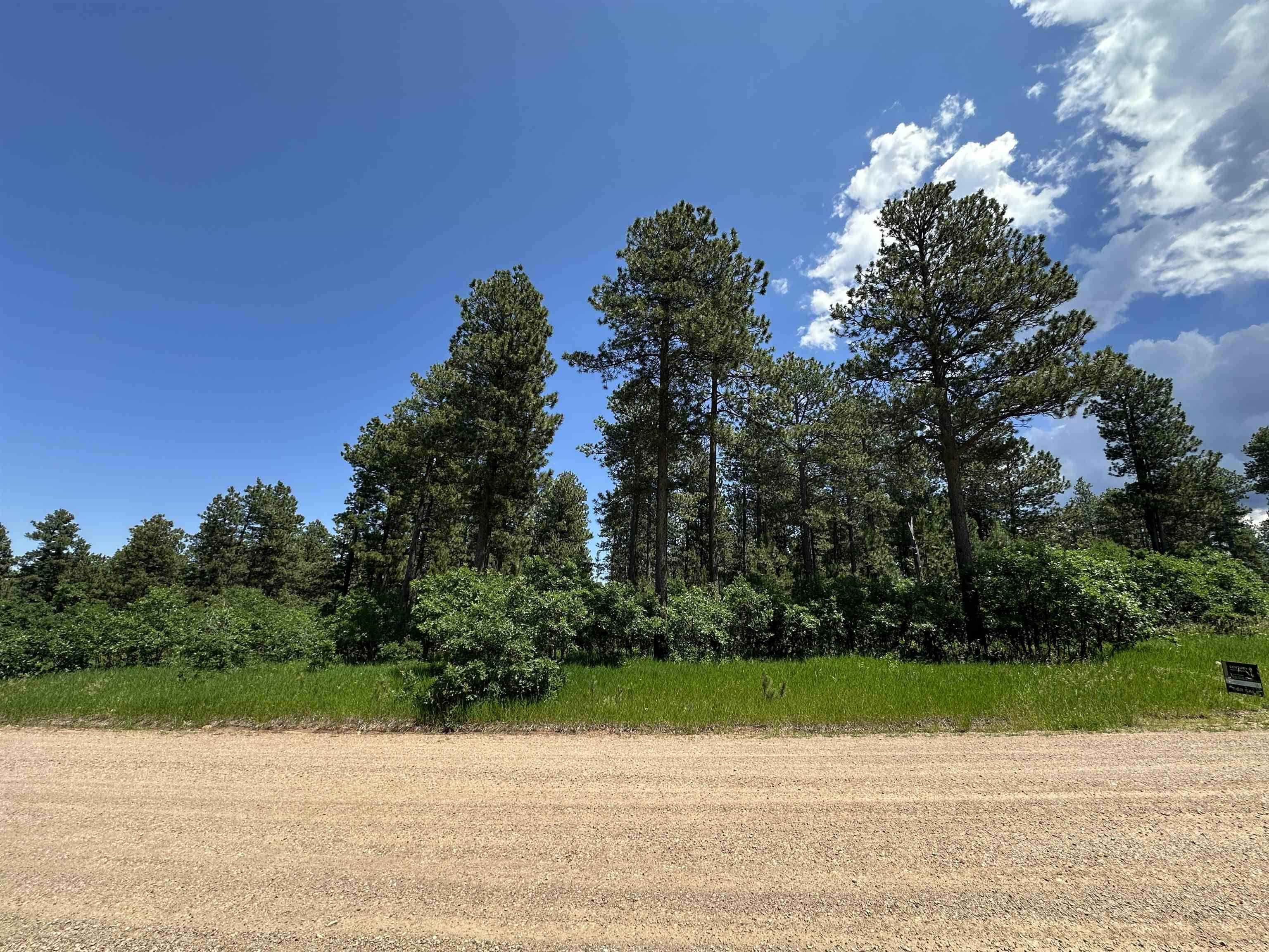 Aster Road, Spearfish, SD 57783
