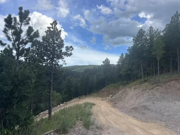 Sturgis, SD 57785,Majestic Heights Road