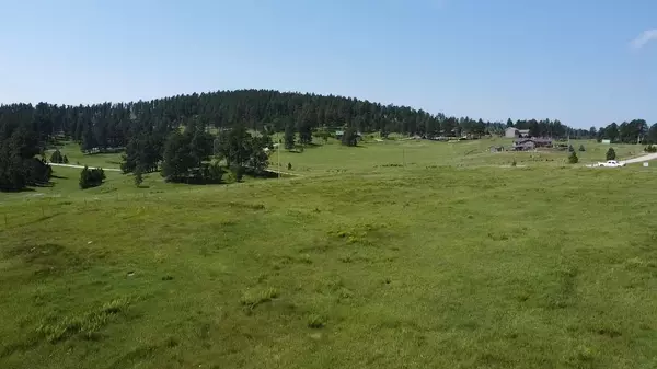 Paradise, Hill City, SD 57745