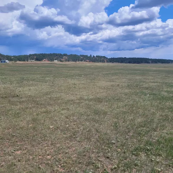 10239 Valley Road, Custer, SD 57730