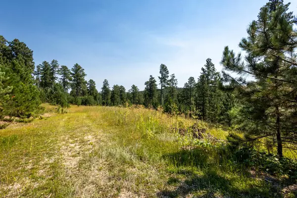 Magpie Road, Lead, SD 57754