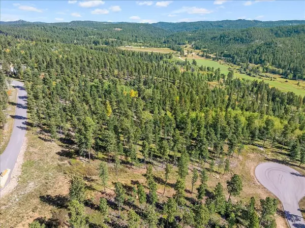 Lead, SD 57754,Meadow Wood Way