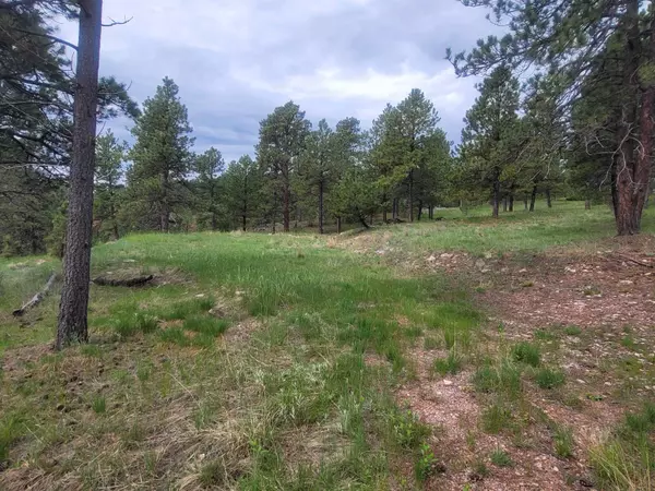 Outback Trail, Hermosa, SD 57744