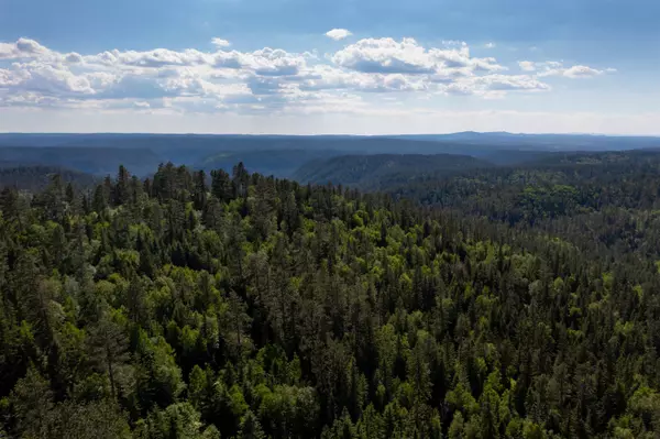 Lead, SD 57754,Deer Mountain Road