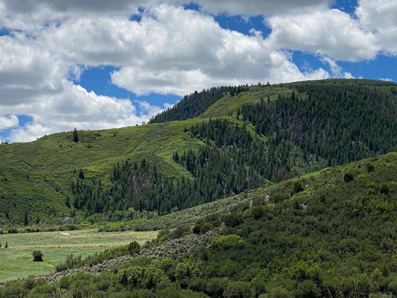 Eagle, CO 81631,0161 Borah Spur