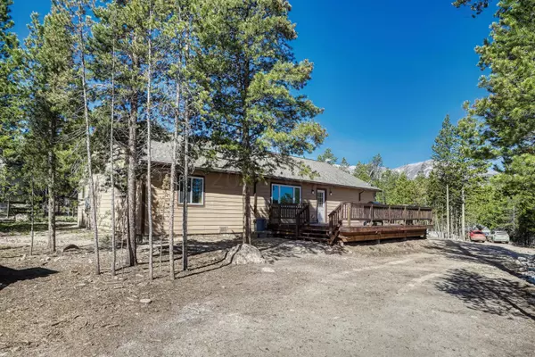 Leadville, CO 80461,304 Hemlock DR