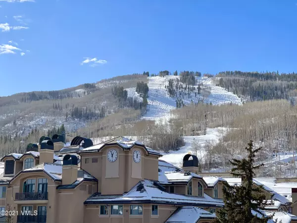 Beaver Creek, CO 81620,61 Avondale LN 301