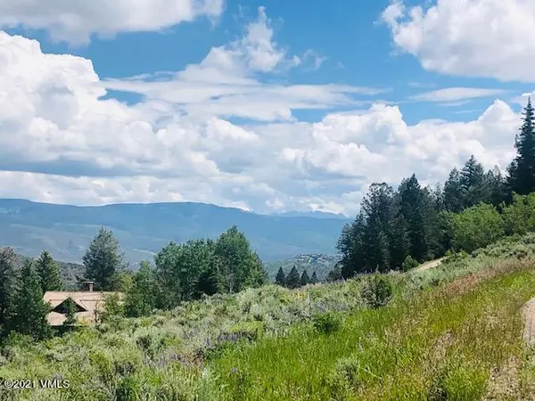 527 Graham RD, Edwards, CO 81632