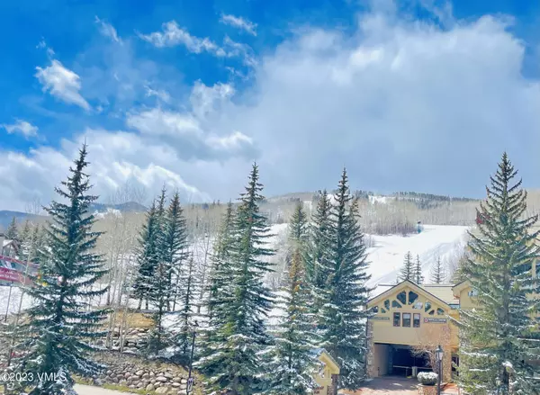 Beaver Creek, CO 81620,26 Avondale Lane 324