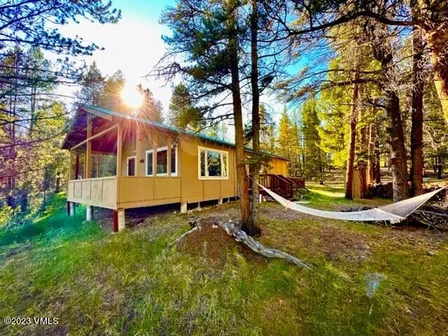 52 HOMESTAKE TC 649 COUNTY ROAD 2, Leadville, CO 80461