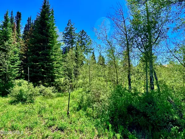 Edwards, CO 81632,75 Pritchel PL