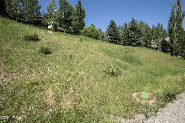 65 Wayne Creek RD, Beaver Creek, CO 81620