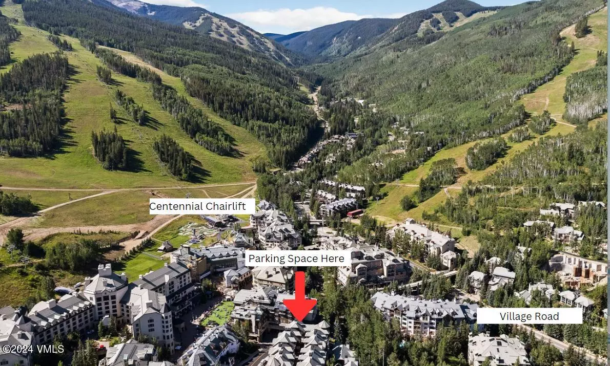 Beaver Creek, CO 81620,63 Avondale LN