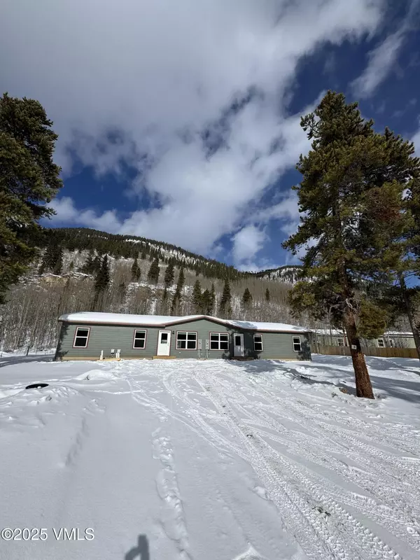 3299 CO 91 1&2, Leadville, CO 80461