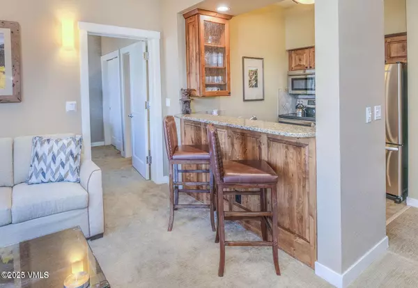 Beaver Creek, CO 81620,63 Avondale LN 244-48