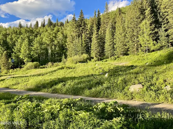 Eagle, CO 81631,001 Eighth