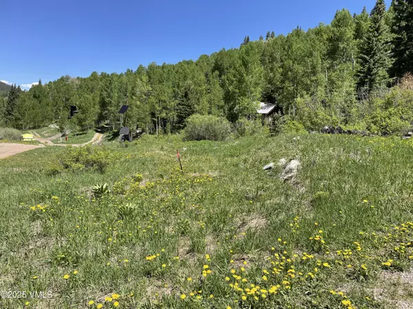 Eagle, CO 81631,001 Eighth