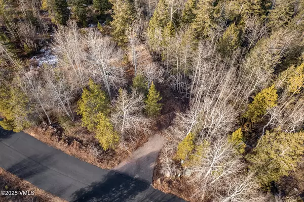 Edwards, CO 81632,116 Travis RD