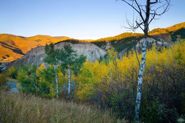 Beaver Creek, CO 81620,149 Holden RD