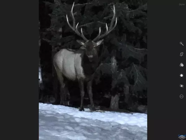 1132 County Road 9, Leadville, CO 80461