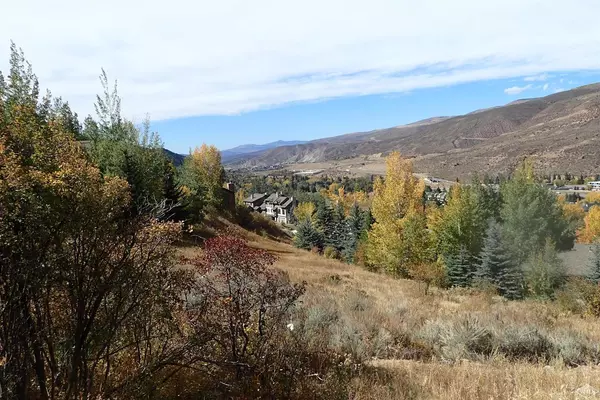 824 Eagle Dr CIR, Avon, CO 81620