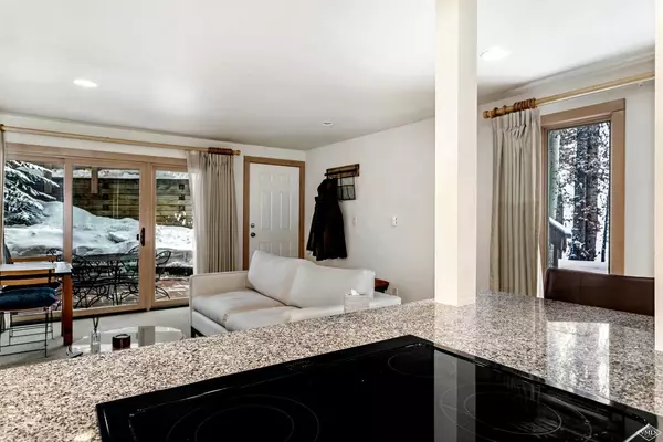 Vail, CO 81657,980 Vail View DR C115