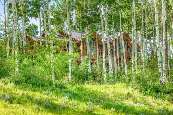 Beaver Creek, CO 81620,246 Strawberry Park CT