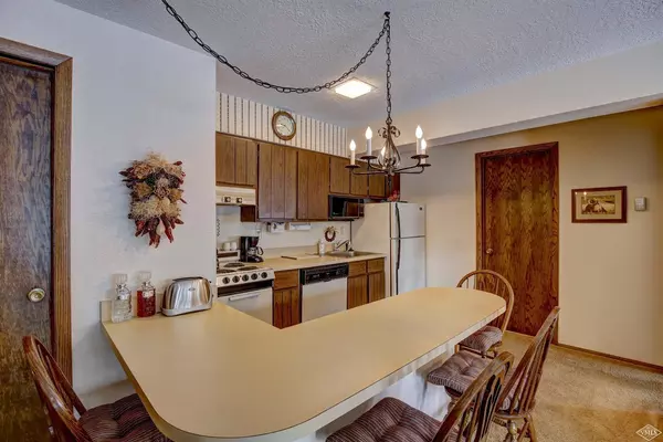 Dillon, CO 80435,240 La Bonte ST 55