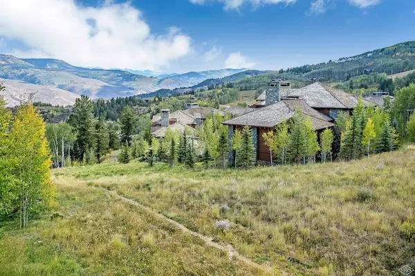 Beaver Creek, CO 81620,335 Hummingbird B102