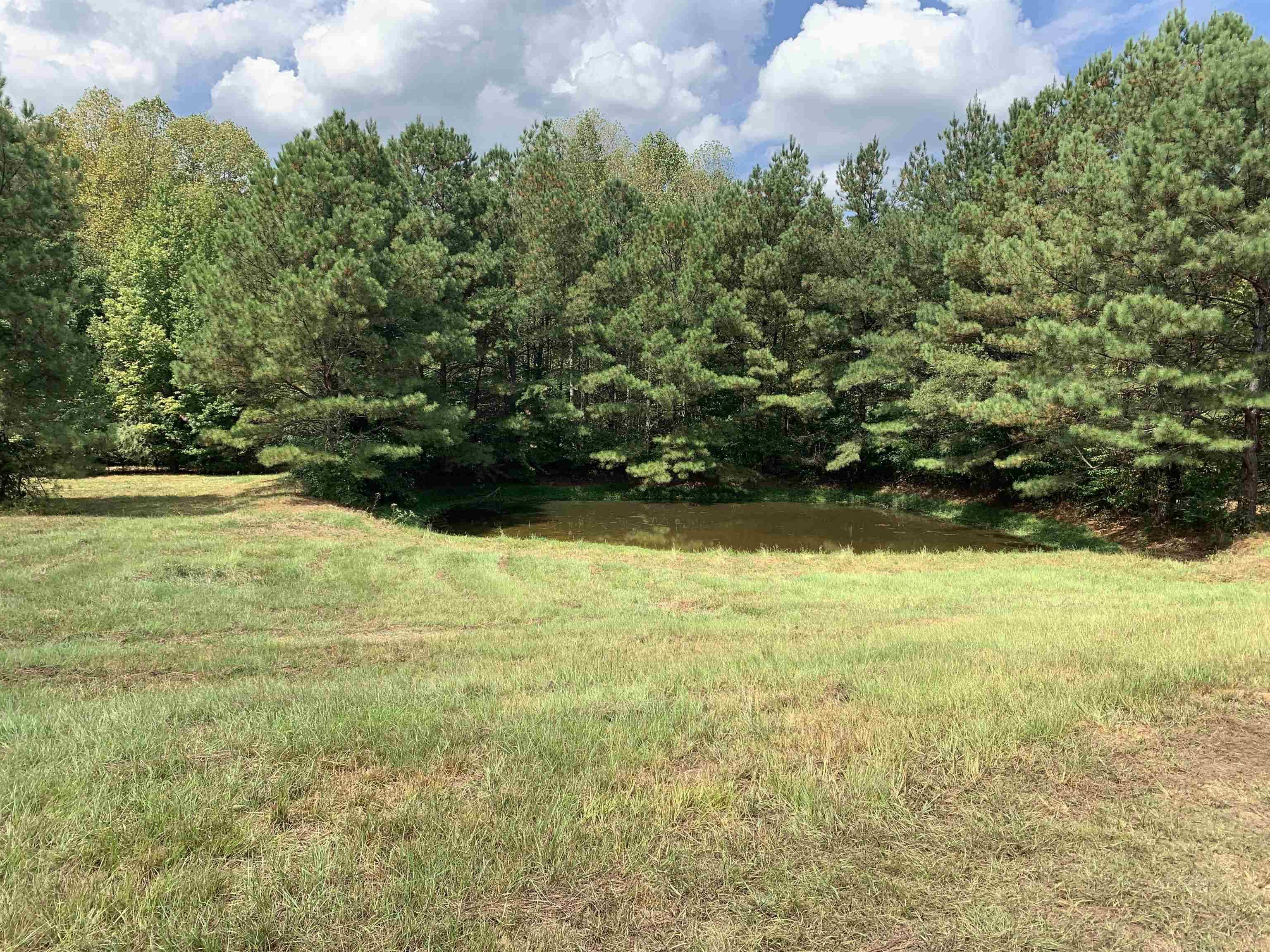 0 Co Rd 51, Haleyville, AL 35565