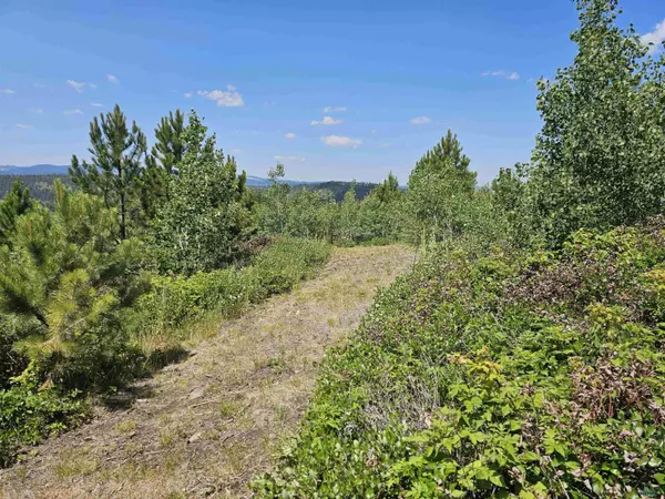 Deadwood, SD 57732,21167 Other