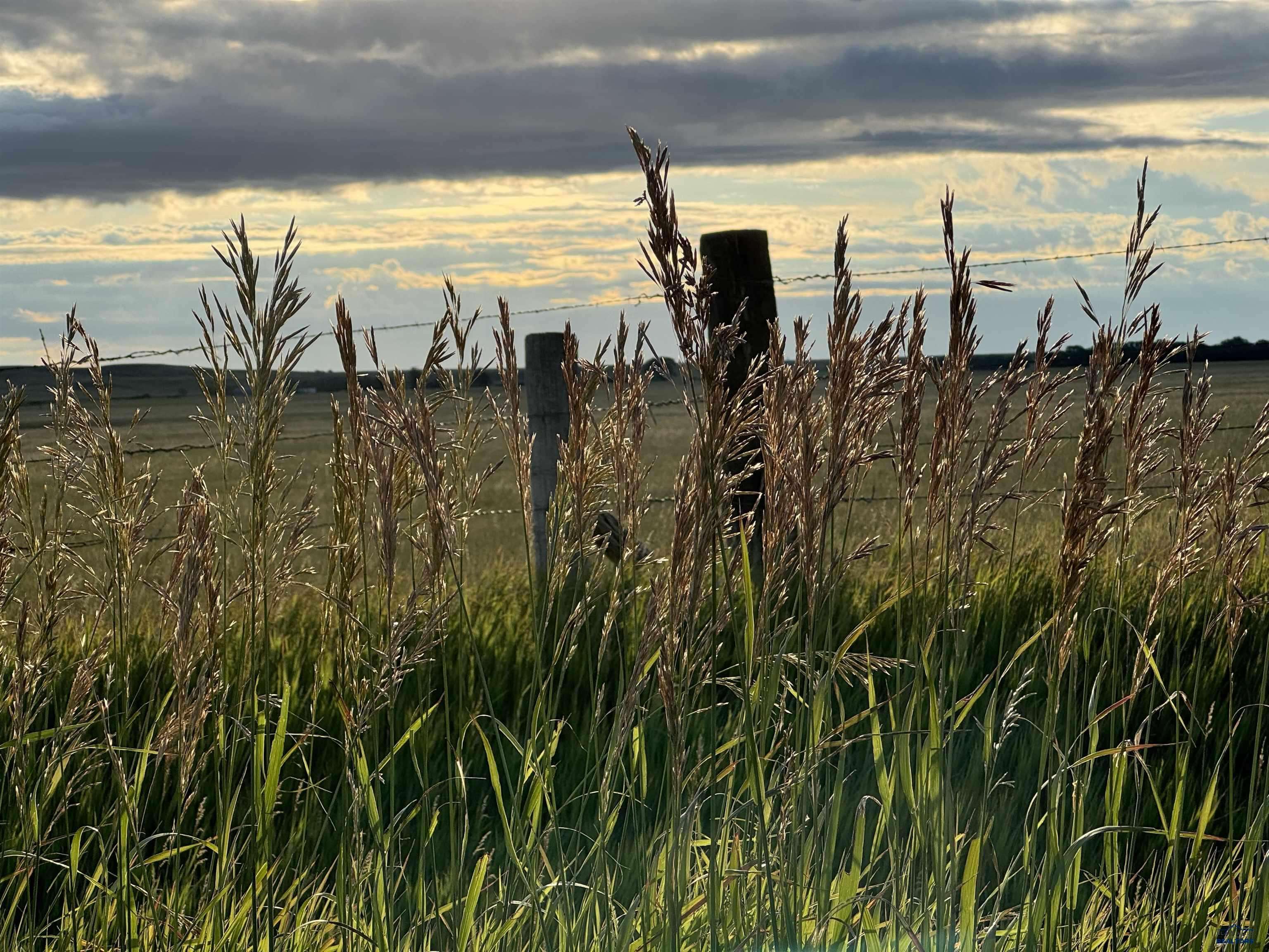 Piedmont, SD 57769,14489 KEION RD