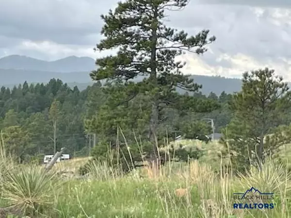 Keystone, SD 57751,Lot 3c Hwy 40