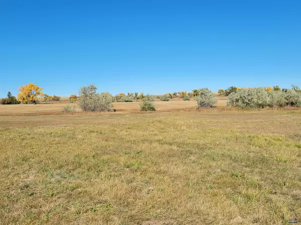 Rapid City, SD 57703,Lot 1 E HWY 44 #River Bottom Ranchettes