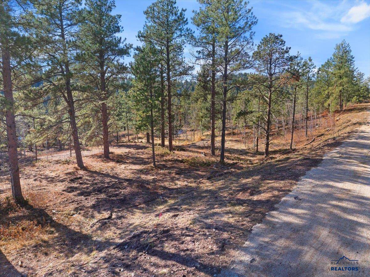 Lot 1 LAST CHANCE TRAIL, Lead, SD 57754