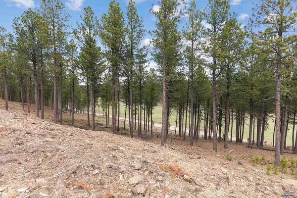 Rapid City, SD 57702,TBD ANGLER DR