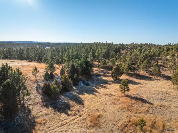 11943 S Park Dr, Custer, SD 57730